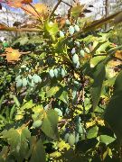 Fairytale Town, Sacramento